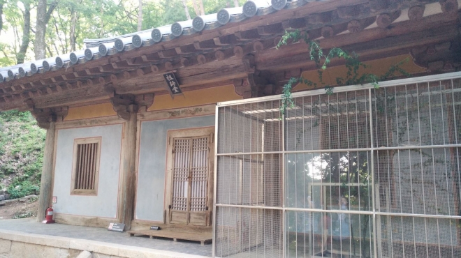 영주 부석사 선비화. 경북도 제공