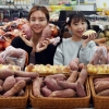 [서울포토]이마트, ‘해남 못난이 왕고구마’ 판매