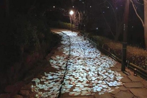 서대문 안산 벚꽃길 바닥 조명 설치