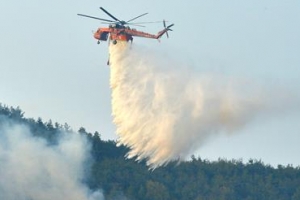 강릉 왕산리 산불로 산림 0.3ha 소실