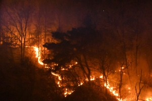 4월 마지막 주말 산불 빈발, 안동 800㏊ 산림 피해