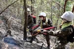 안동 산불, 40시간만에 진화…축구장 1100개 면적 잿더미
