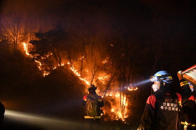 산림청 산불재난특수진화대원들이 지난 24일 안동시 풍천읍에서 발생한 산불 진화 작업을 벌이고 있다. 산림청 제공