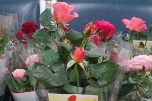 도봉 노인과 장애인 위한 ‘미니 영상강좌’ 보급