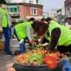 서울 중구, 주민과 함께하는 봄향기 가득, 다산어린이공원 가꾸기