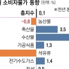 디플레이션 우려 커지는데… 이달 소비 회복이 관건