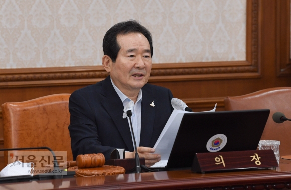 정세균 국무총리가 4일 정부서울청사에서 열린 국무회의에서 모두발언을 하고 있다. 이종원 선임기자 jongwon@seoul.co.kr