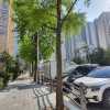 스쿨존 노상주차장 폐지에 미적미적…폐지 예정 주차장 가보니