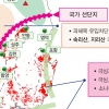 소나무재선충병 소규모 발생지역 확산