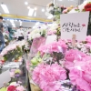 [서울포토]카네이션 살펴보는 시민들