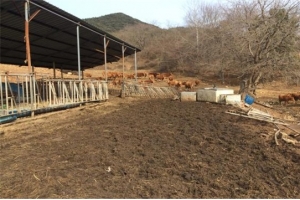 경남 하동군, 축산시설 분뇨·악취발생 집중 단속