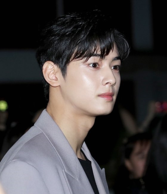 차은우. 사진=뉴스1