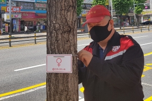 안양시, 은행나무 암나무 표찰 관리…고질적 민원해결