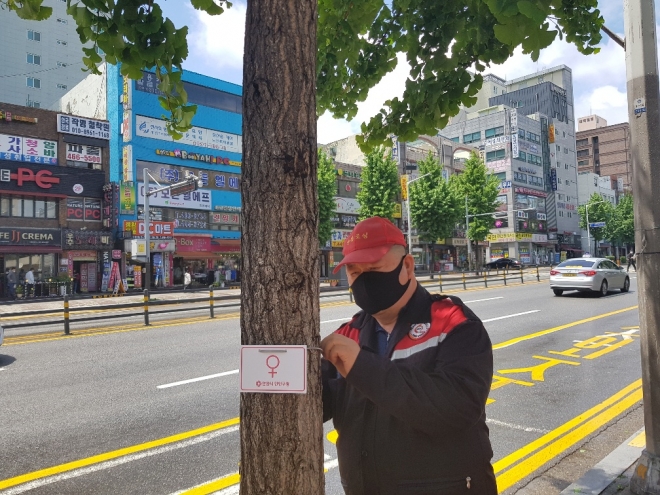 안양시 관계자가 은행무나에 암나무를 표시하는 기호가 새겨진 일정한 규격의 표찰을 달고 있다. 안양시 제공