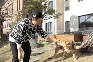 박세리, 반려견 목줄 논란 해명 “사고 조심하는 것”