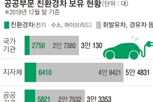 정부, 친환경차 늘리겠다더니… 공공부문 구매 저조