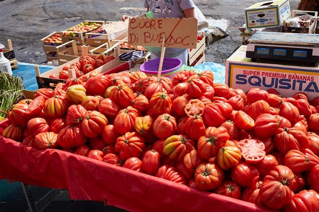 이탈리아 시칠리아의 카나티아 등 세계 곳곳에서 만날 수 있는 토마토는 2만여종이나 된다. 강렬하고 싱그러운 향을 가진 토마토는 껍질과 과육, 즙 제각각 훌륭하게 쓰인다.