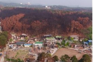 산불 피해액 ‘259억원’…복구비용은 ‘703억원’