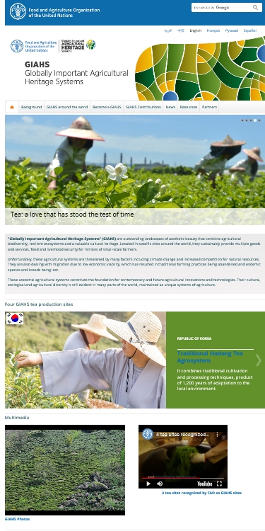 국제연합식량농업기구 홈페이지에 게시된 하동녹차 