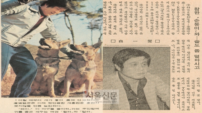 선데이서울 제273호(1974년 1월 13일자)에 실린 배우 백일섭과 제373호(1975년 12월 21일자)에 실린 배우 노주현