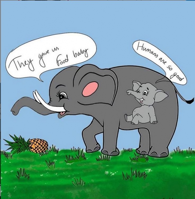 인도 코끼리 살해 사건을 그린 삽화 출처:아누쉬카 샤르마 인스타그램