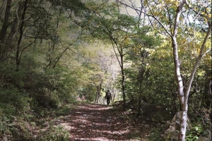 [그 책속 이미지] 걷다가 길을 잃어도 좋을 것 같은 길