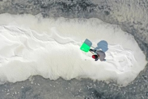 폭염에 꽃 핀 소금