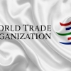 ‘WTO 수장 선출’ 미중 대리전… EU “우리도 후보 낸다”