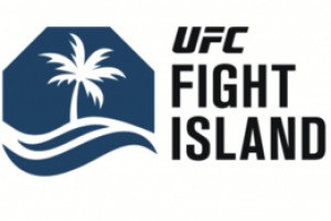 UFC가 공언한 ‘격투의 섬’은 아부다비 인공섬