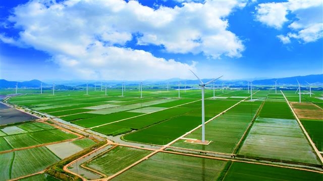 총규모 160㎿로 2014년부터 상업 운전 중인 전남 영광군 백수읍에 있는 전국 최대 규모 풍력단지. 영광 지역 해상에는 낙월해상풍력 350㎿, 안마해상풍력 300㎿가 사업 허가를 받고 공유수면점사용허가 절차를 밟고 있다. 전남도 제공