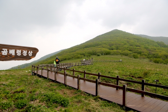 작은점봉산 아래로 이어지는 곰배령 정상의 평원. 한국관광공사