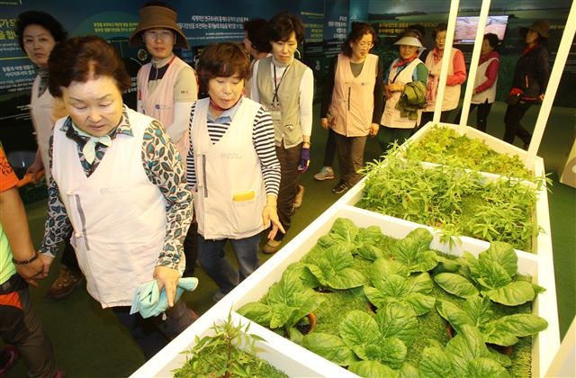 2015 괴산 세계유기농엑스포 행사장을 찾은 방문객들이 유기농법으로 생산된 농산물을 살펴보고 있다.  충북도 제공