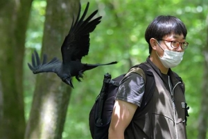 숲길에서 휴대전화까지 슬쩍…사려니 검은 손 “잡았다 요놈”