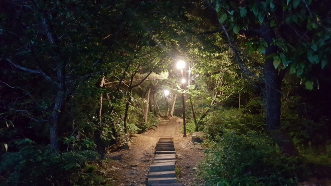 이번 설치한 조명이 야간 탐방로 어둠을 훤히 비추고 있다. 안양시 제공