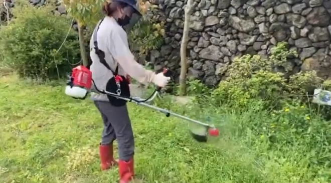 “서울과 제주의 gap” 이효리가 인스타그램에 올린 동영상 캡처