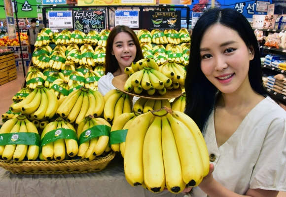 16일 롯데마트 서울역점에서 모델들이 유통사 최초로 베트남에서 직수입한 ‘베트남산 고산지 바나나’를 선보이고 있다. 2020.6.16.    이종원 선임기자 jongwon@seoul.co.kr