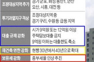 17일 갭투자 막는 문 정권 21번째 부동산 규제정책 나오나