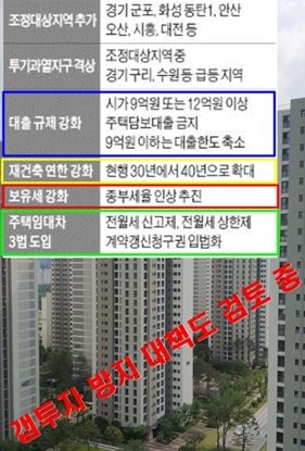 17일 발표 예정인 부동산 규제 정책에 담길 것으로 예측되는 내용. 인터넷 커뮤니티 캡처