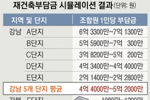 [6·17 부동산 대책] 수도권 투기과열지구, 2년 살아야 재건축 분양권 받는다