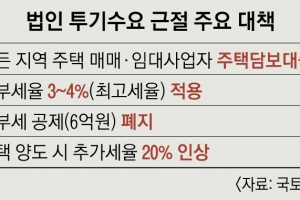 [6·17 부동산 대책] 주택 매매·임대 사업자, 전국서 주택담보대출 전면 금지