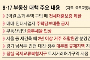 ‘갭투자’ 원천봉쇄… 잠실·삼성·대치·청담동서 전세 끼고 집 못 산다