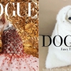 최신 트렌드, 보그(Vogue) 말고 ‘도그(Dogue)’