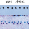 [그림과 詩가 있는 아침] 새벽 #3/김환기·별/장재인