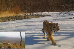 다큐로 보는 한반도의 자연과 역사