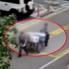 경비원에 개인 이삿짐 맡기고… 갑질 아니라는 동대표