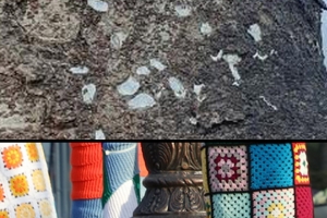 털실 옷 벗겨 낸 안양시 가로수서 ‘유충집’ 대거 발견