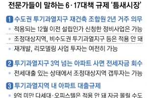 규제 빈틈은 있다… “투기지구 다세대·서울 재개발로 돈 몰릴 것”