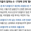 규제 빈틈은 있다… “투기지구 다세대·서울 재개발로 돈 몰릴 것”