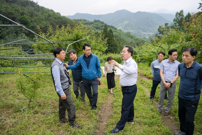 허석 시장이 황전 상평마을 주민들과 1박 2일 ‘별밤토크’ 을 가진 다음날 플럼코트 농가를 찾아 농가의 애로사항을 듣고 있다.