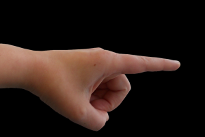 “확찐자, 여기 있네” 손 놀렸던 청주시청 공무원 모욕혐의 기소